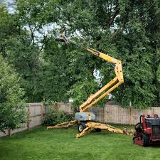 Lawn Grading and Leveling in Downey, CA